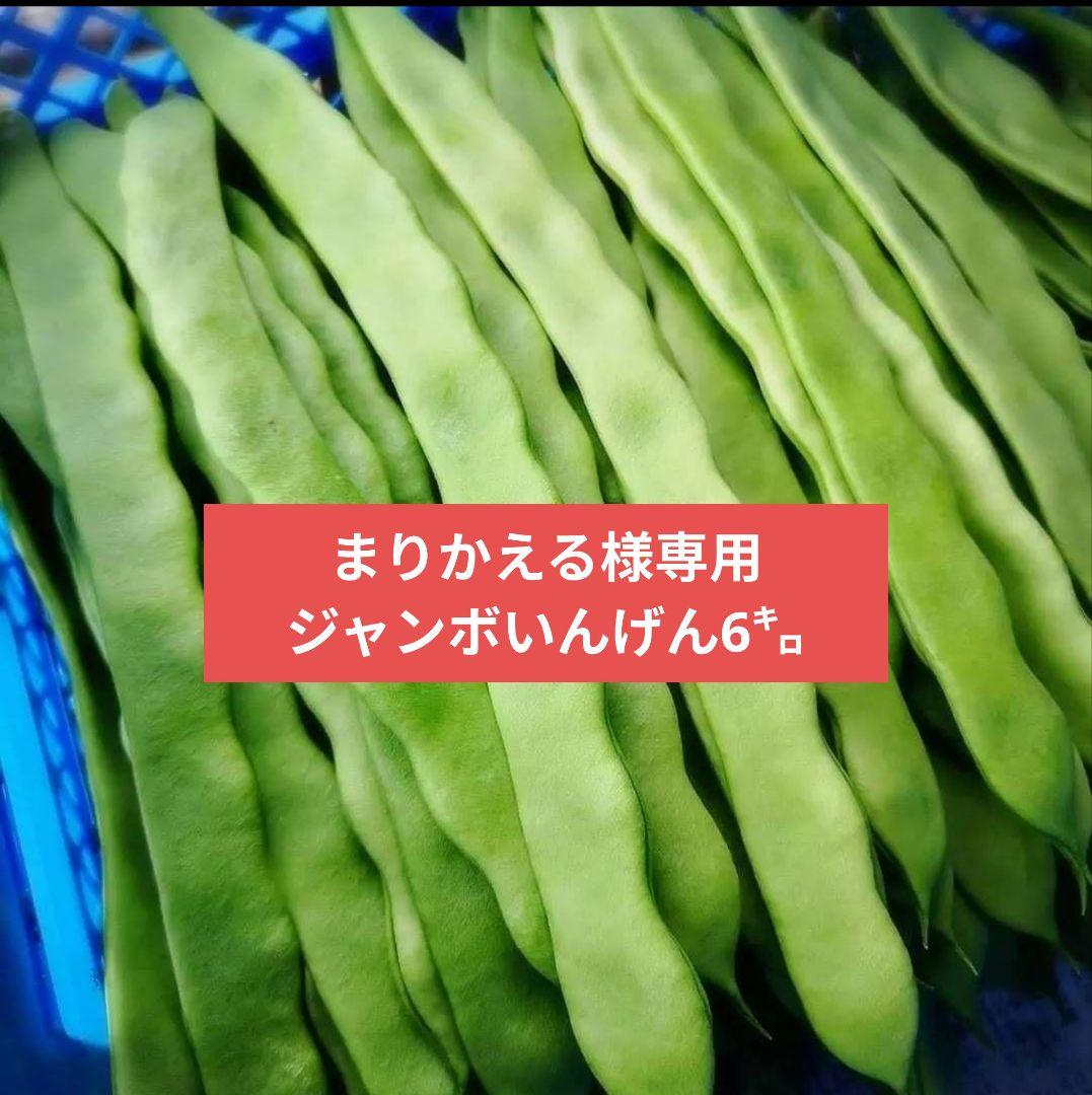 まりかえる6㌔