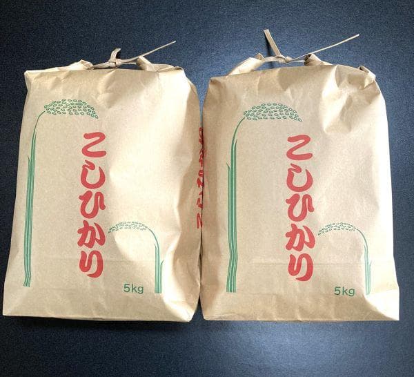 農家保有米 令和7年産 10キロ 玄米 コシヒカリ 10kg(5kg×2) 新米
