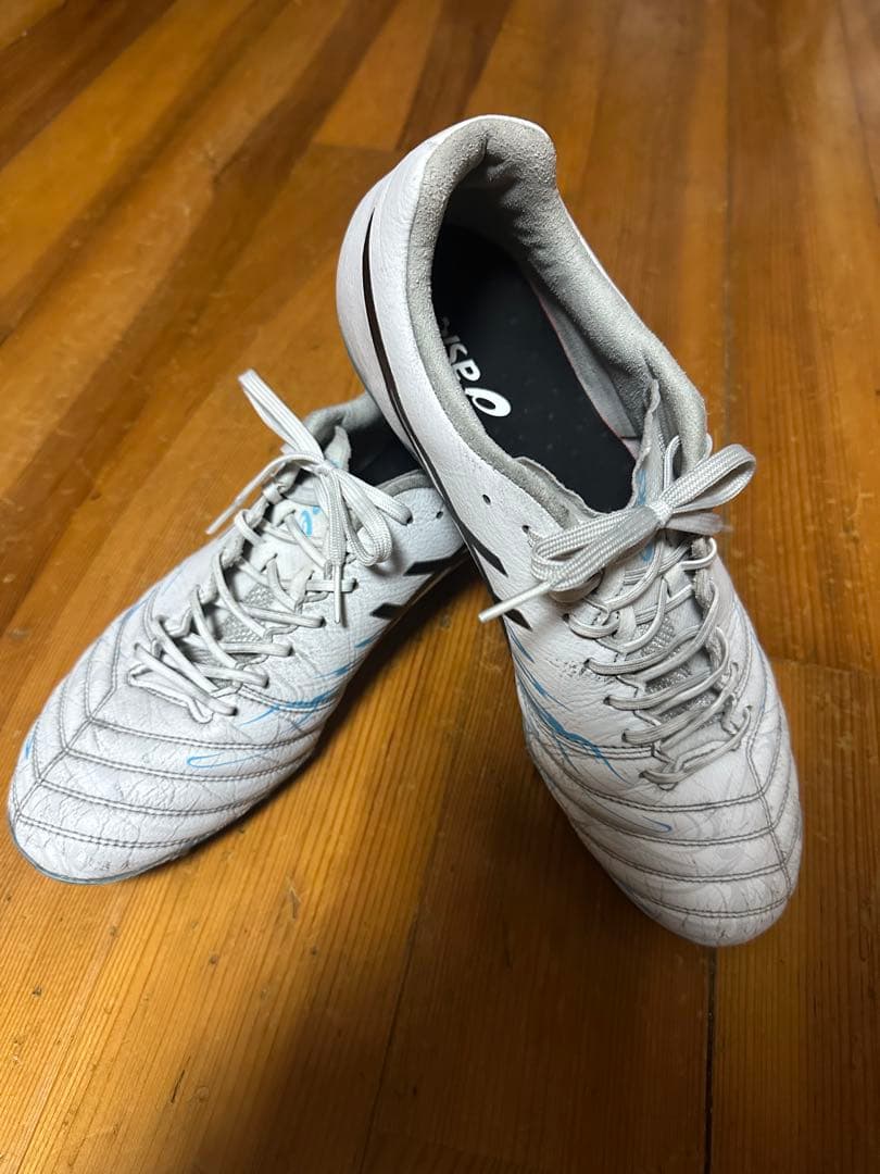 ッカースパイク DS LIGHT X-FLY Pro
