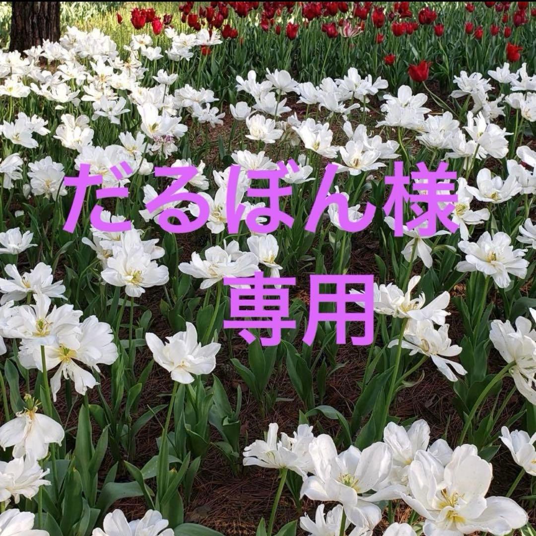 だるぼん