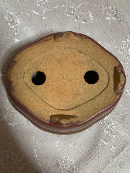 服部　盆栽鉢　赤茶