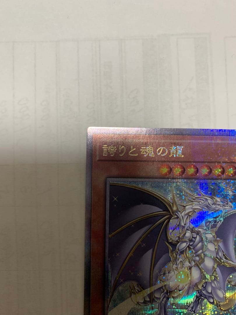 誇りと魂の龍　25THSE 日版
