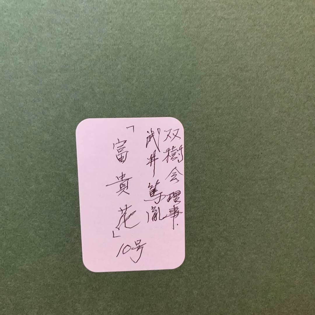 絵画　額装　日本画肉筆　真作　武井篤胤『富貴花』10号