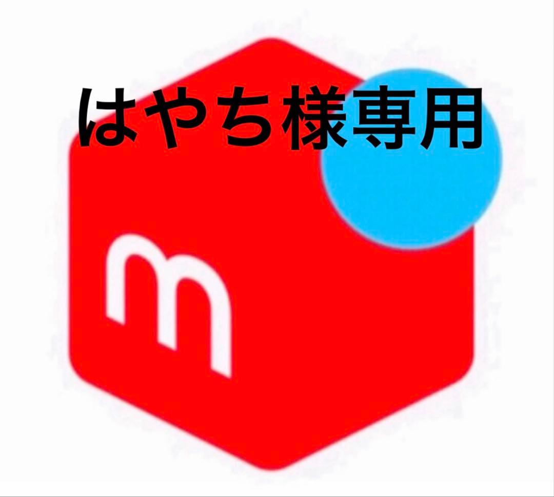 はやち