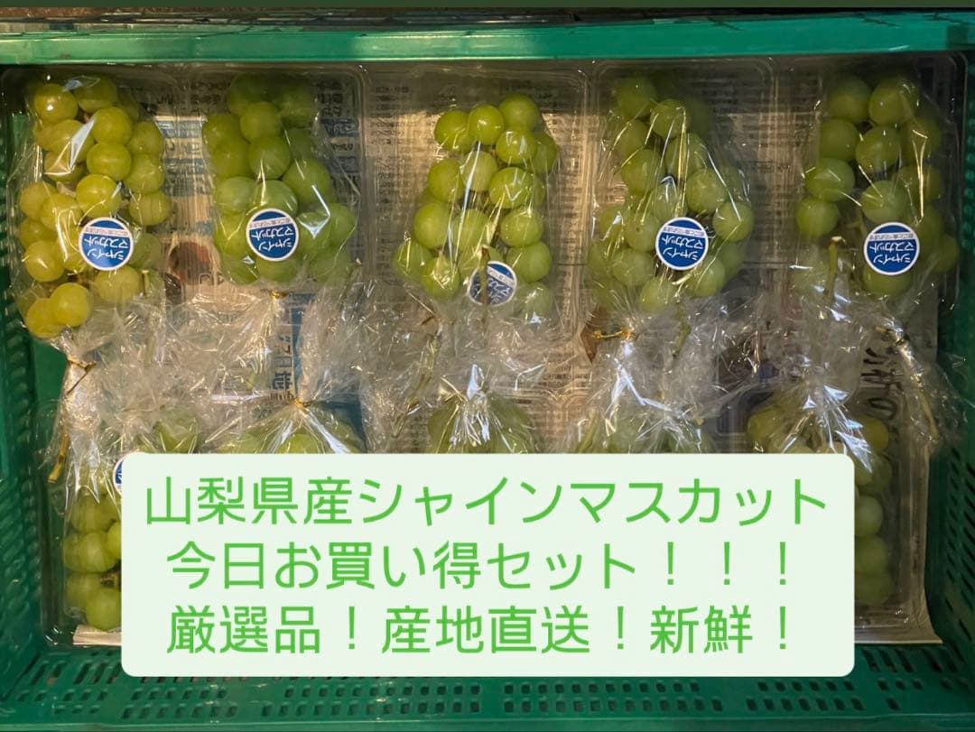 エリンシャインマスカット　10房2セット