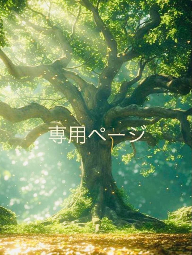 専用ページ