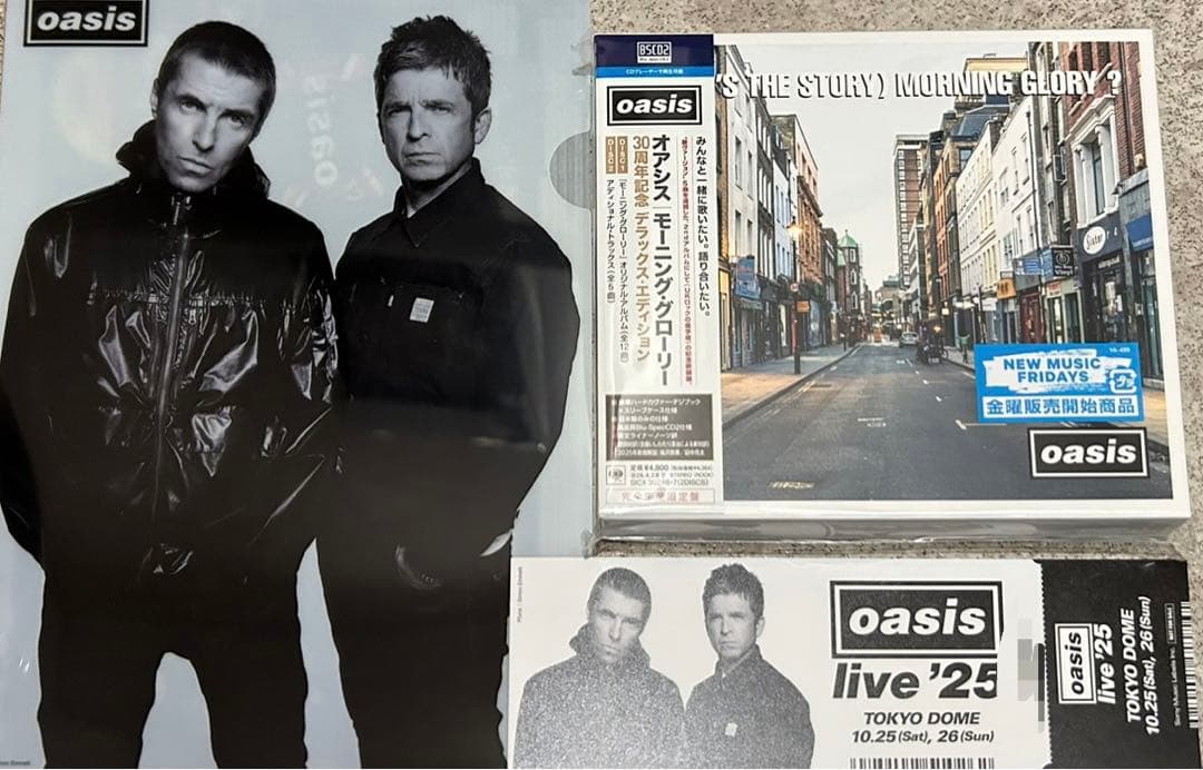 oasis シリアルナンバー入りメモリアルチケットアンドクリアファイル　未使用
