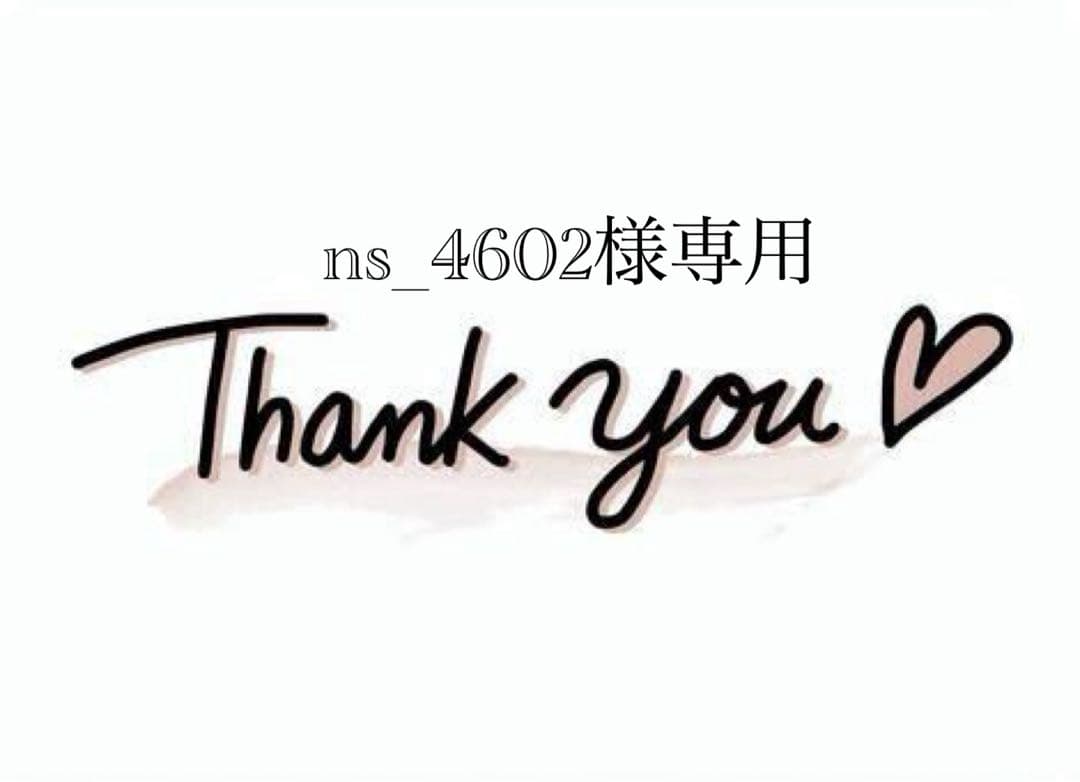 その他 ns_4602