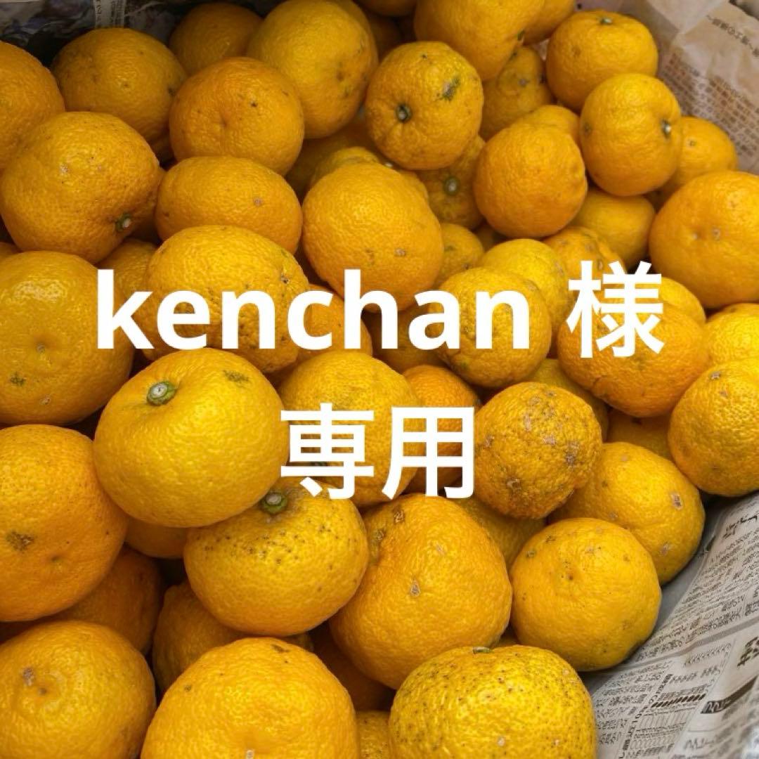 専用商品　訳あり　栽培期間中農薬不使用柚子１５キロ