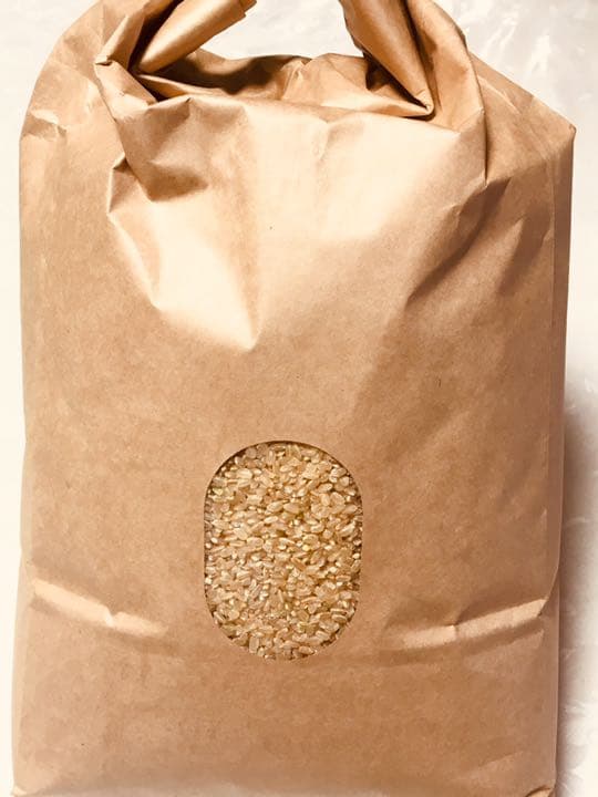 完全通年農薬不使用　令和7年度産うるち米こしひかり玄米　10kg