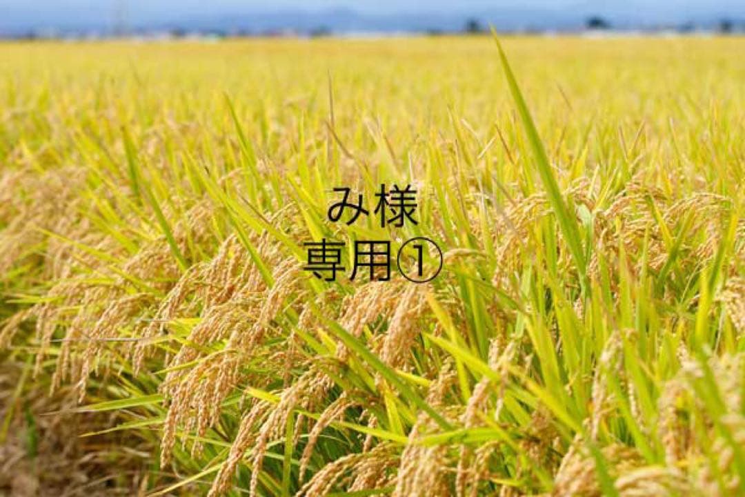 み