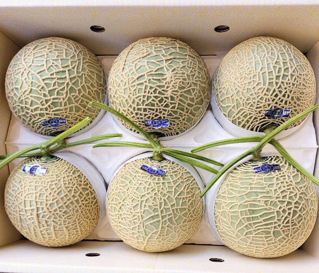 C*a様 高知産　温室マスクメロン　６玉　約９，０Kｇ　A品　北海道沖縄発送不可