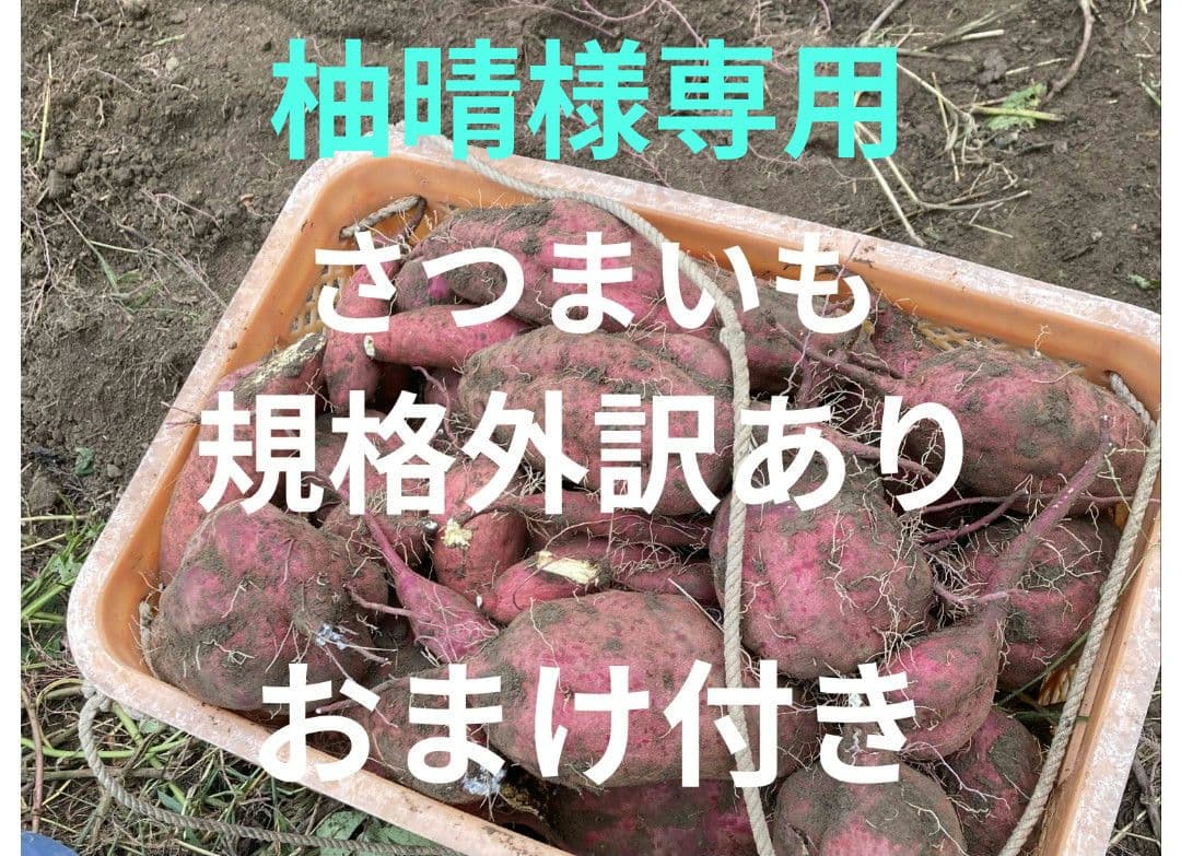 柚晴さつまいも規格外訳ありおまけ付き箱込み２０㎏以下
