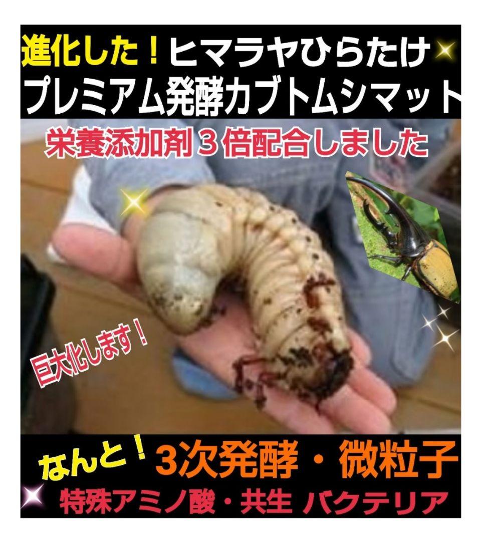 極上！プレミアム3次発酵ヘラクレスマット【4袋セット】幼虫巨大化！産卵にも抜群