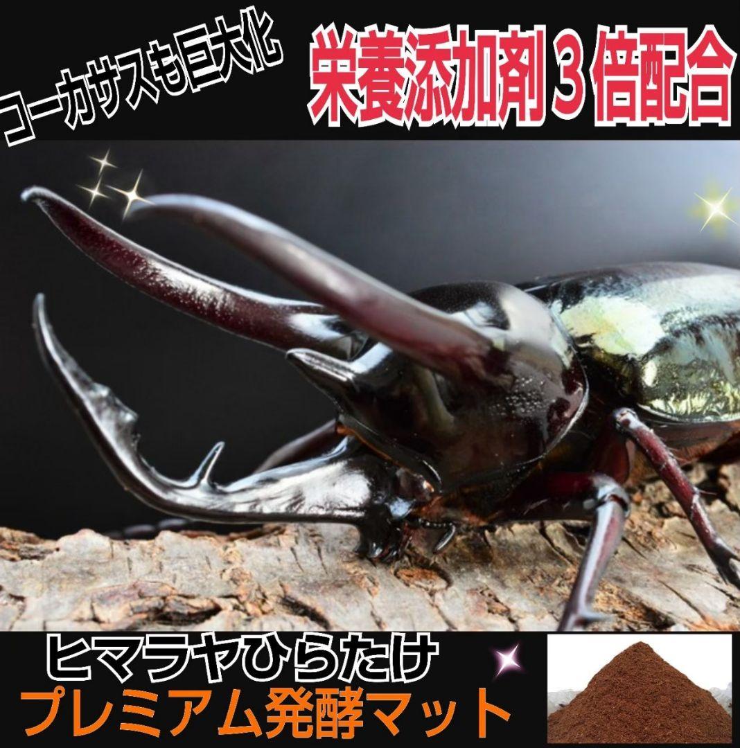 極上！プレミアム3次発酵ヘラクレスマット【4袋セット】幼虫巨大化！産卵にも抜群