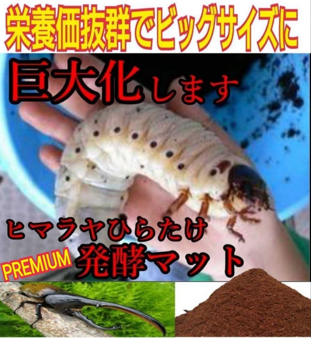 極上！プレミアム3次発酵ヘラクレスマット【4袋セット】幼虫巨大化！産卵にも抜群