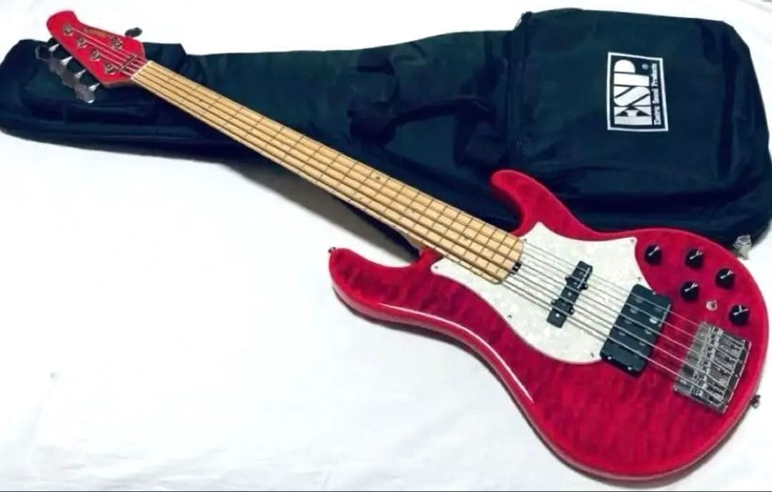 新品同等 完備品 Edwards E-T-170BD ピンク ラルク テツヤ