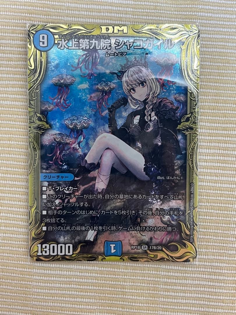 シャコガイルb