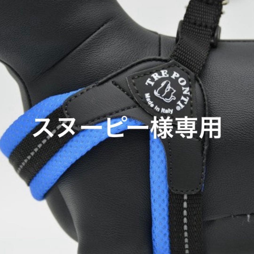 スヌーピ