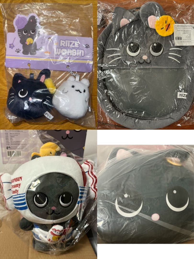 RIIZE wonbin ウォンビン バッグ 中国限定