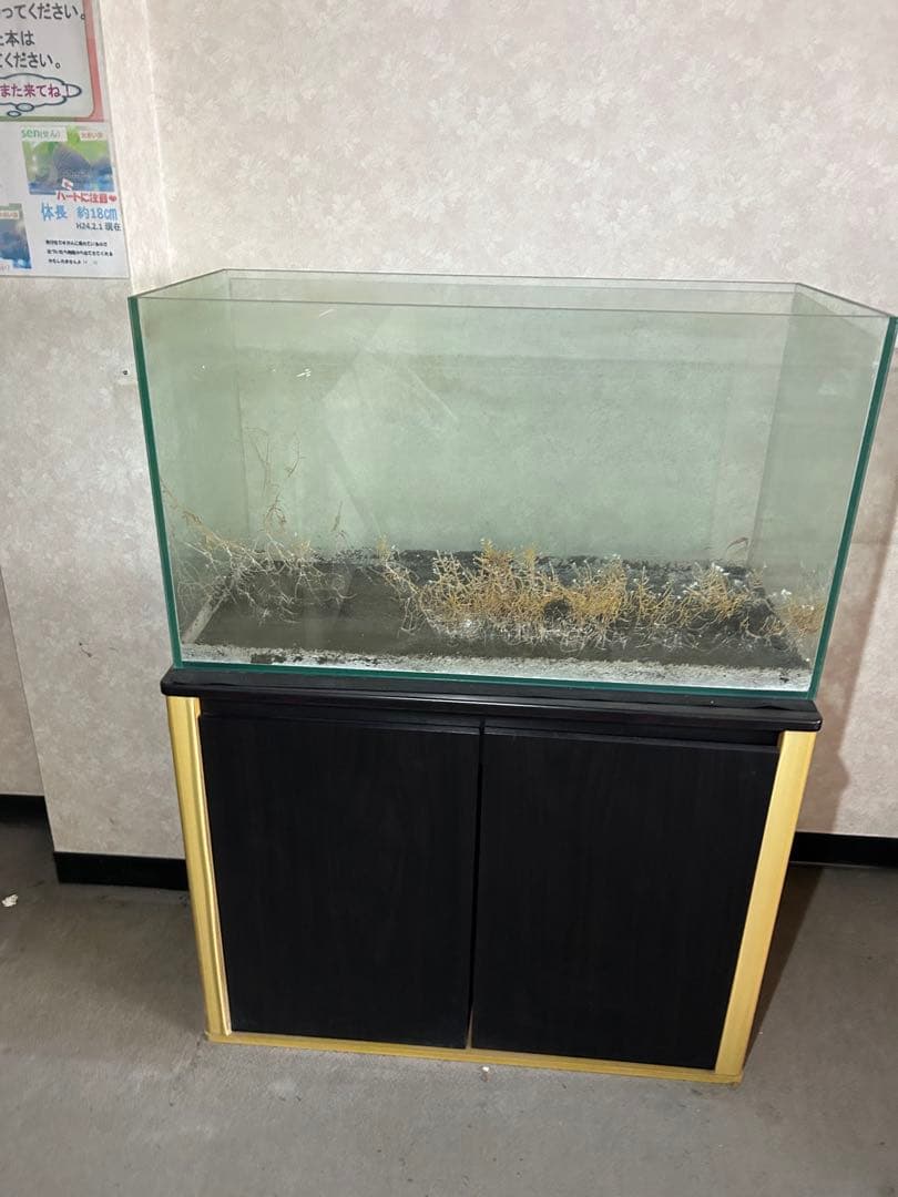 ガラス水槽と水槽台・キャビネット 黒と木目調