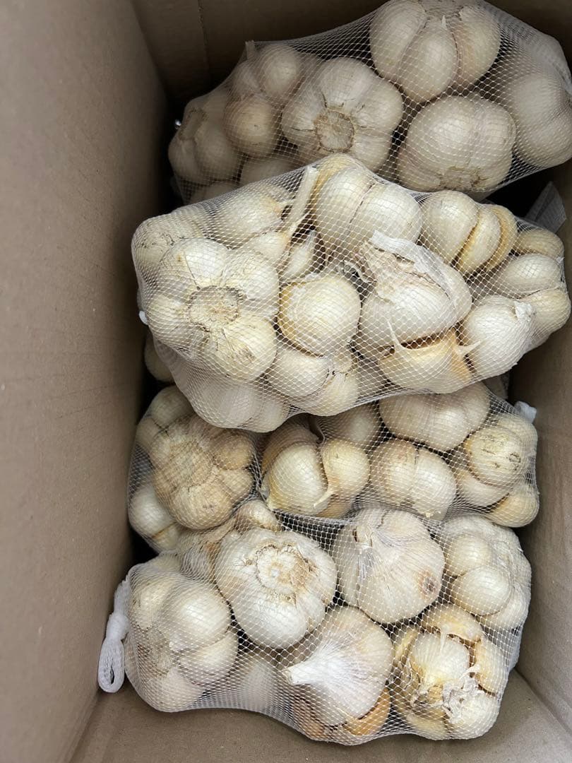 立派な青森県農薬不使用福地ホワイト大きめLサイズにんにく6キロ送料無料
