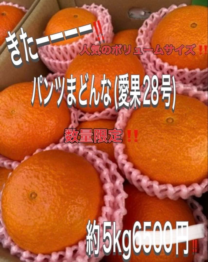 てつさん2箱