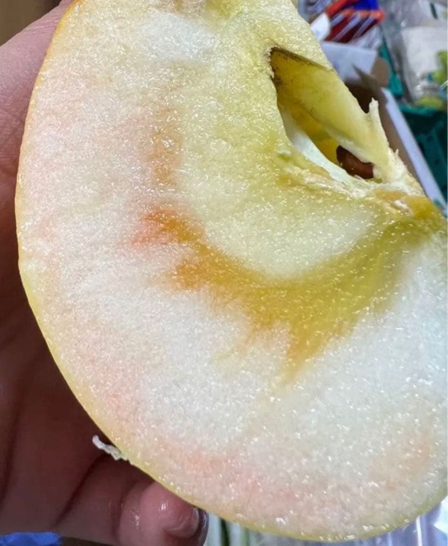 果物 Koji