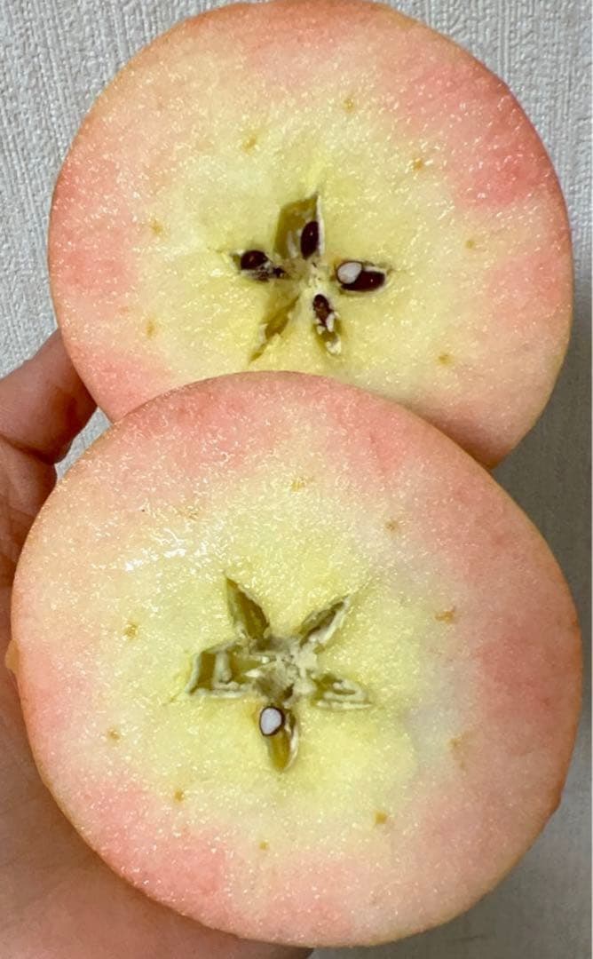 果物 Koji
