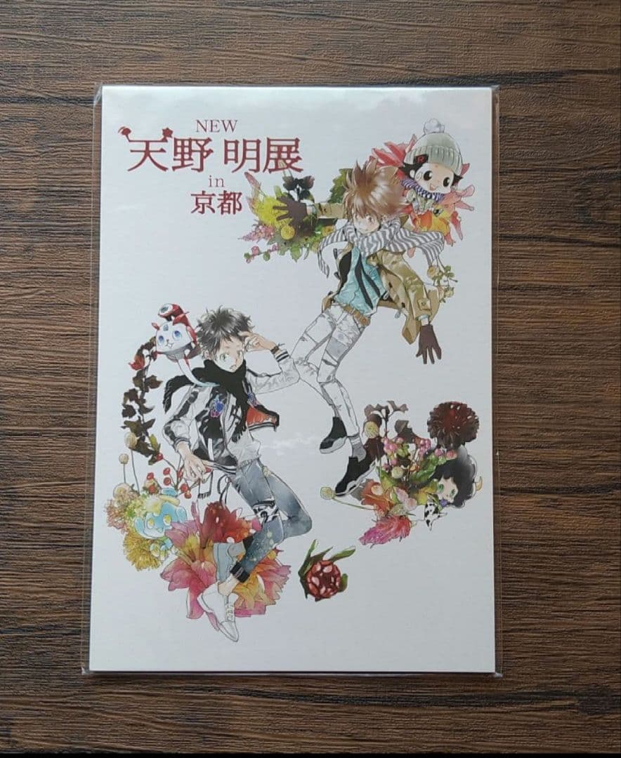 天野明展 ポストカードセットA