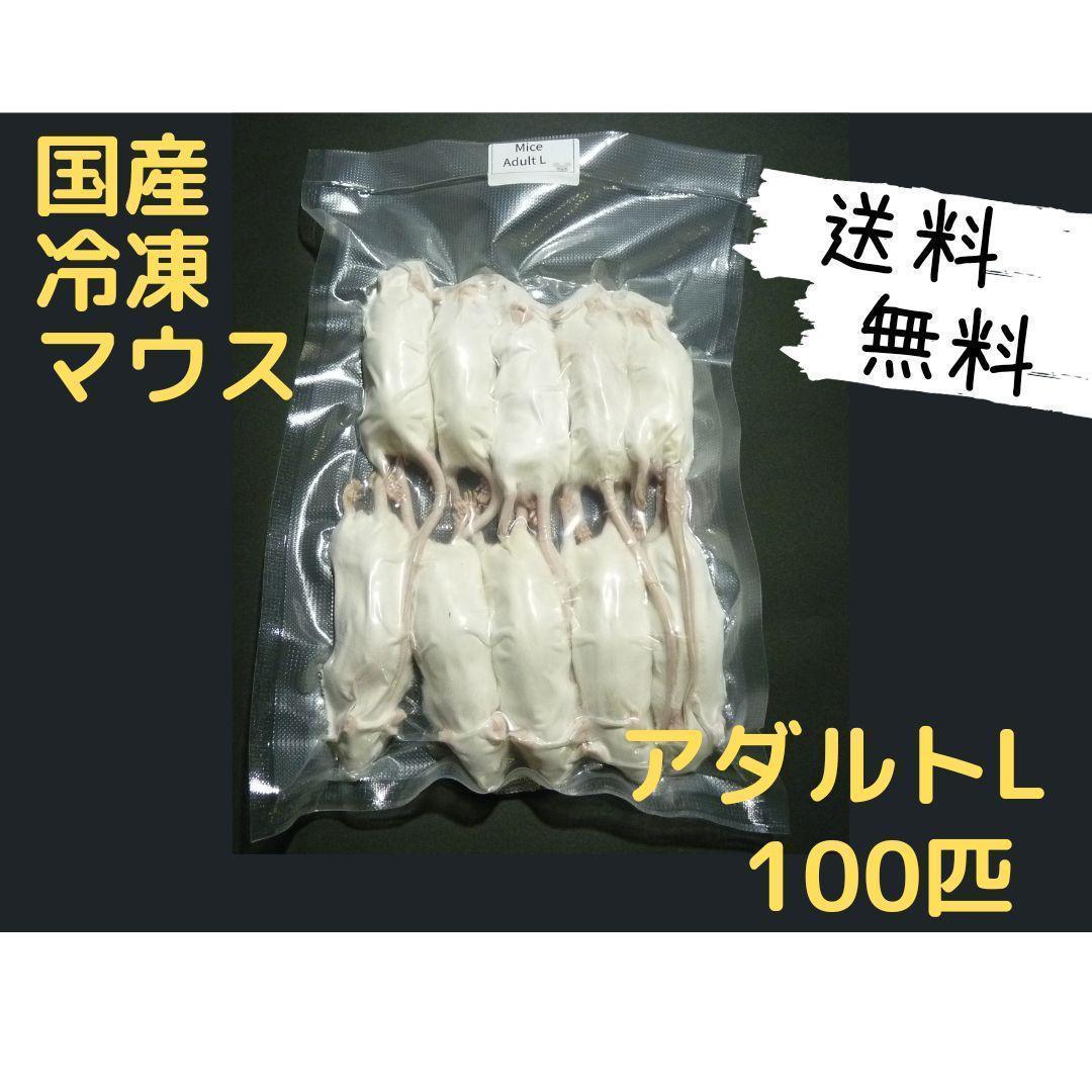 国産 冷凍マウスアダルト L 100匹 (送料無料一部地域発送不可)