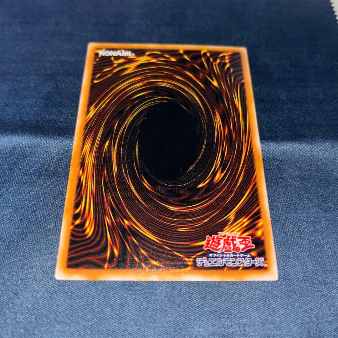 遊戯王カード　ダークネクロフィア　レリーフ