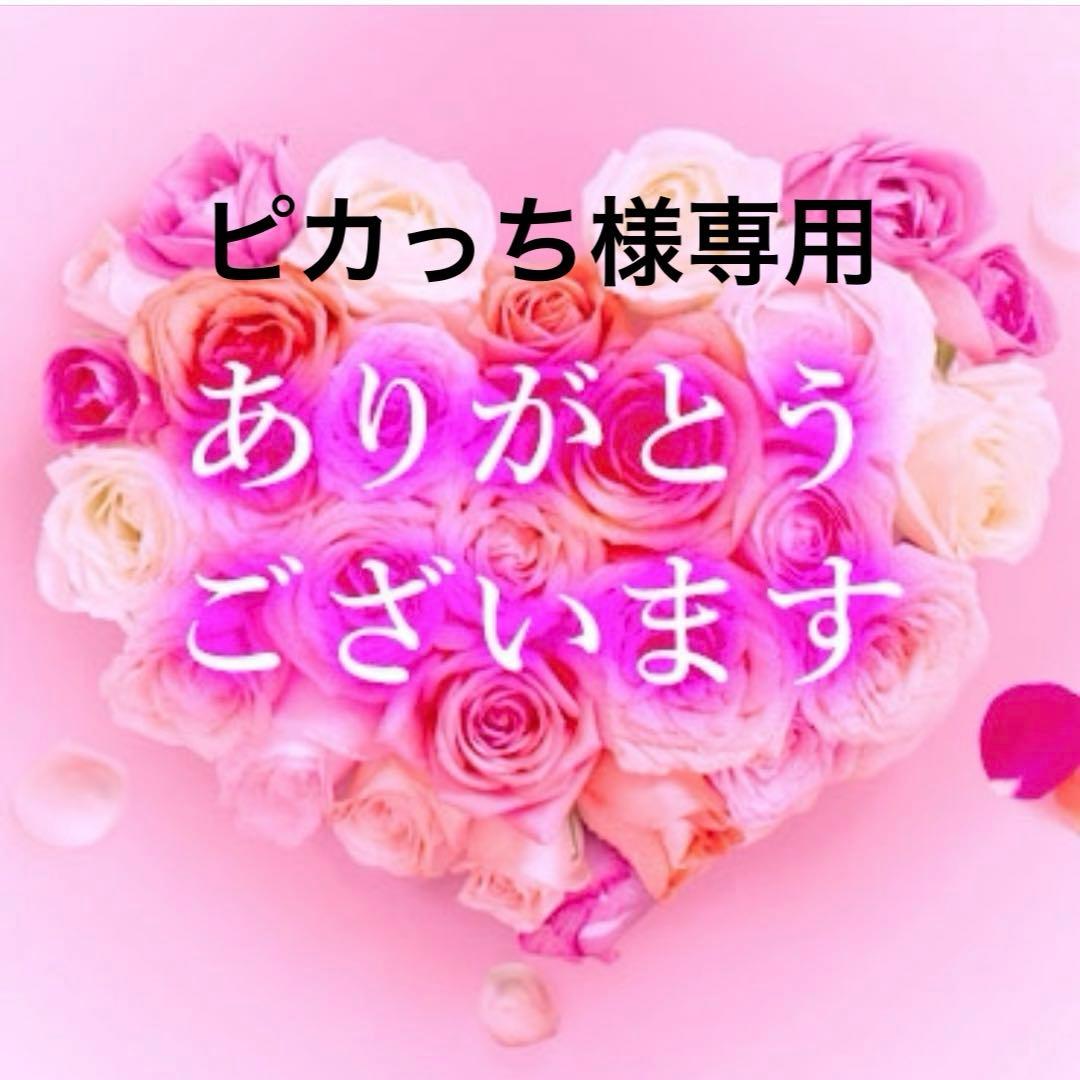 ピカっち
