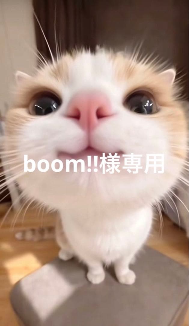 筆記具 boom!!