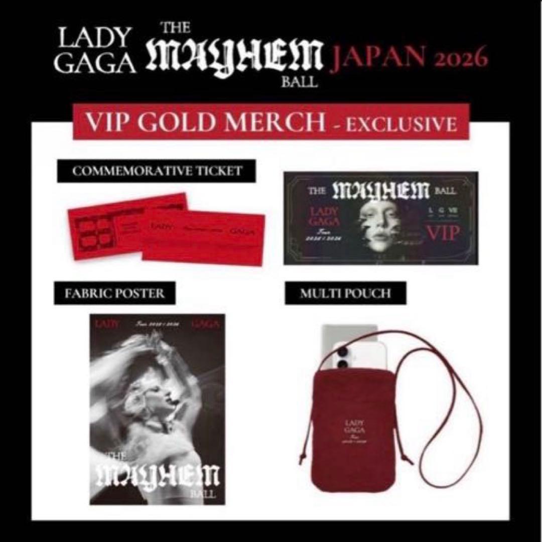 LADY GAGA VIP GOLD グッズ フルセット