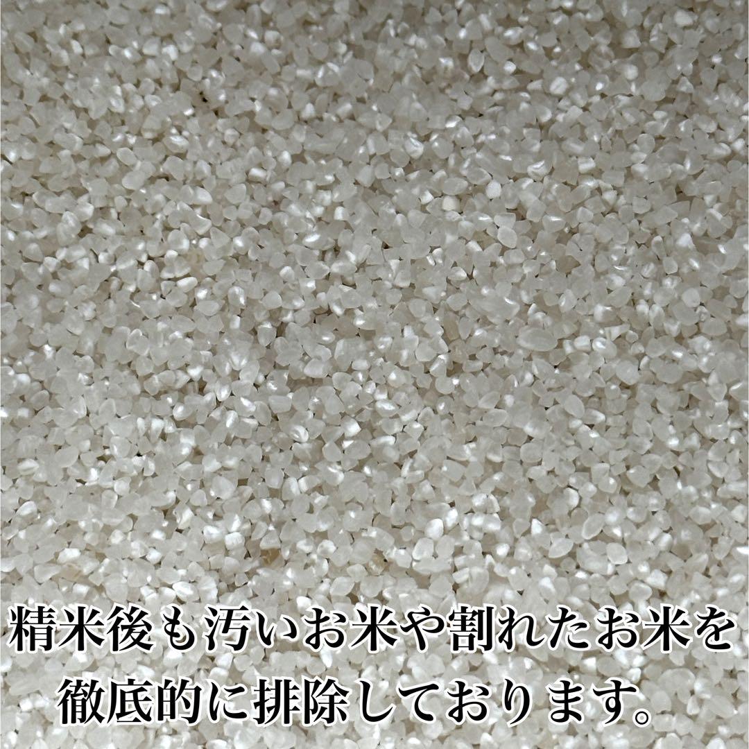 農家直送 令和７年産 秋田県産あきたこまち 特別栽培米【白希】１５kg