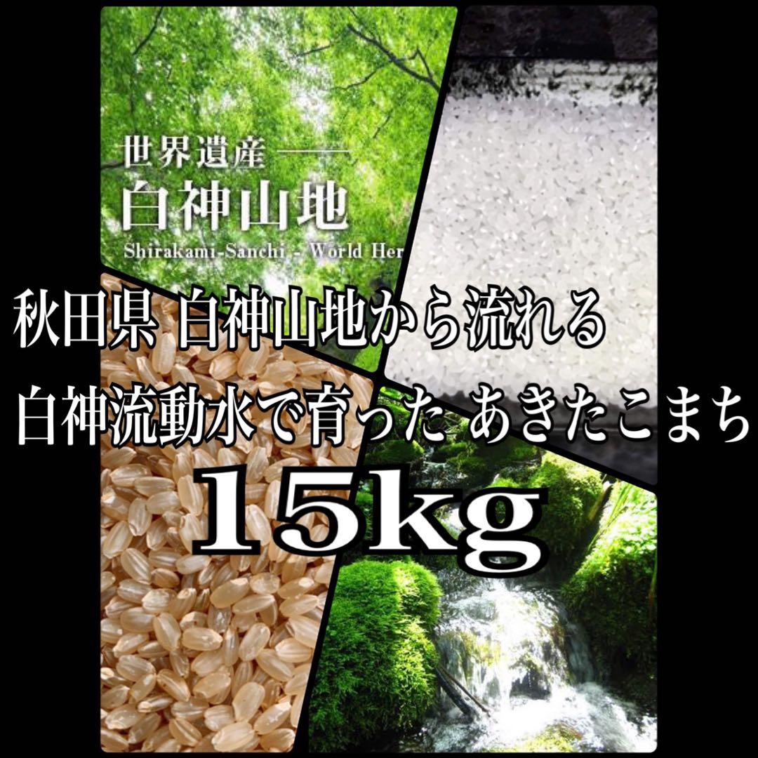 農家直送 令和７年産 秋田県産あきたこまち 特別栽培米【白希】１５kg