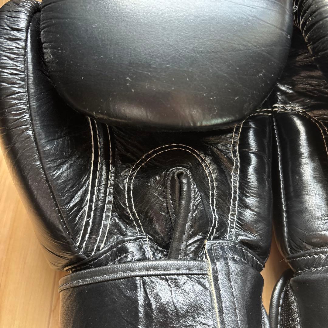 Fairtex（フェアテックス）ボクシンググローブ BGV1 本革制 16oz