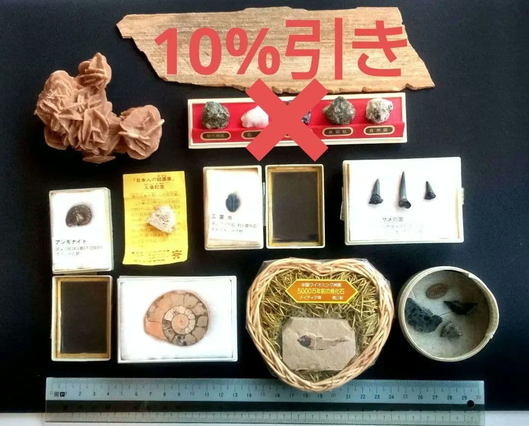 三葉虫他化石