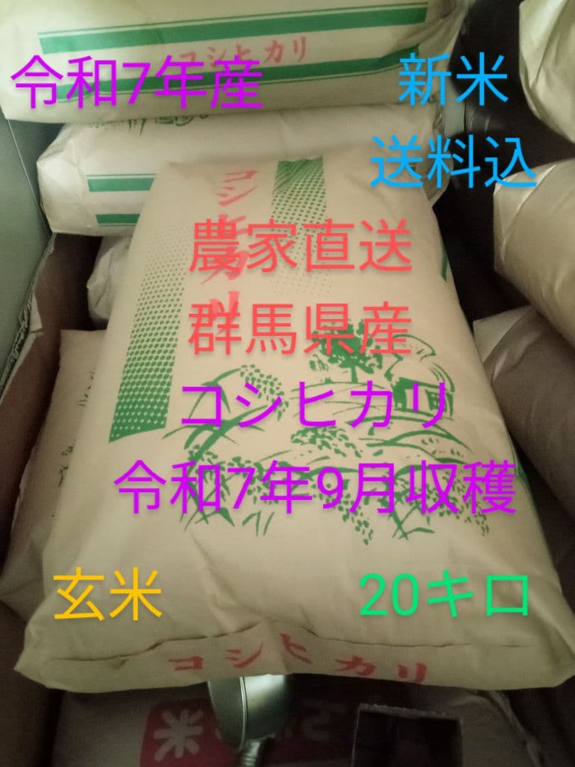R7年産 新米 群馬県産 コシヒカリ 20キロ 玄米 送料込 20kg ①