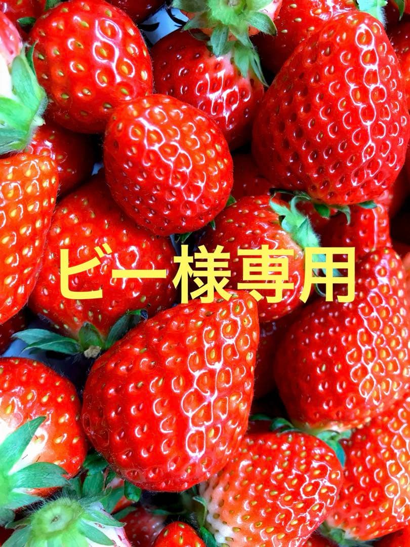 ビー