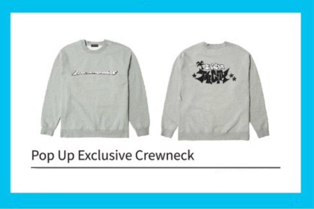 SEVENTEEN THECITY LA セブチ ポップアップ トレーナー L