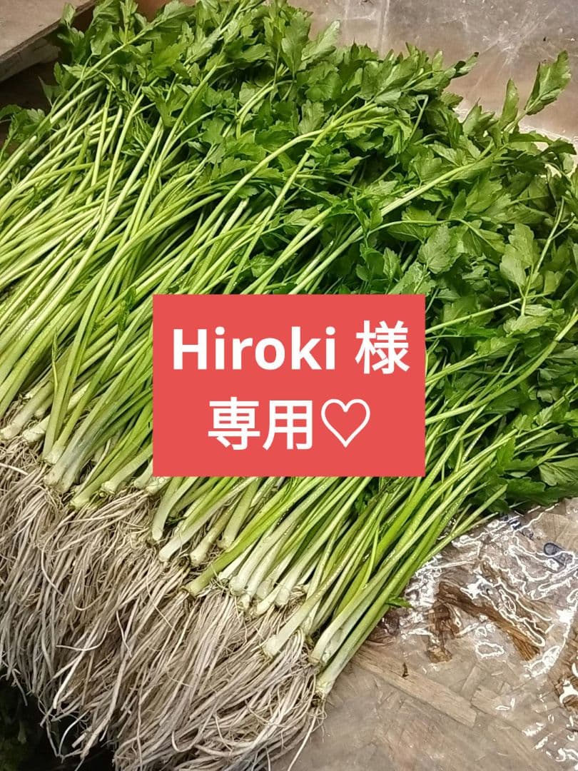 Hiroki (*^^*)
