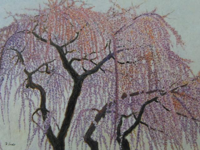 遠藤義美、【しだれ桜】、希少画集画より、状態良好、新品高級額装付