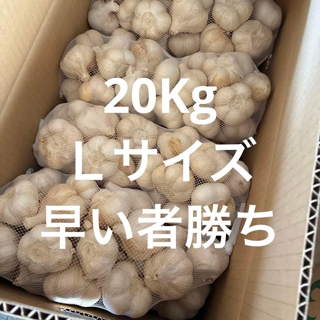 新物　青森県にんにく20キロＬ　現品限り