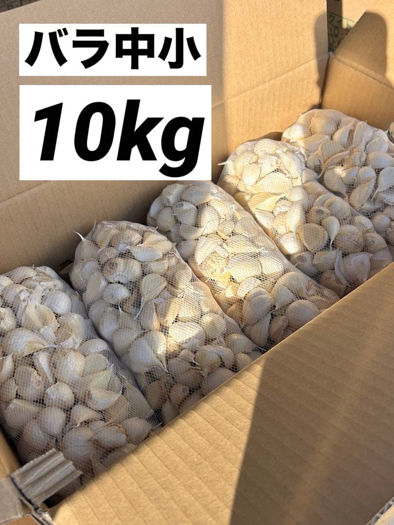 【早い者勝ち】青森県産 にんにく バラ中小10kg 福地ホワイト お買い得！