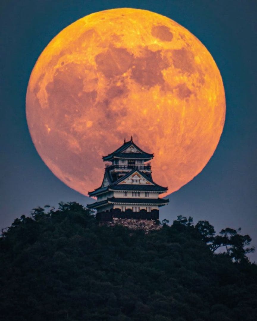 まろやか③