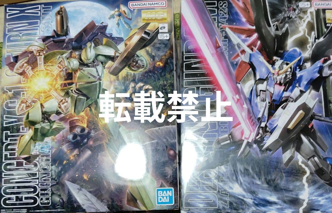 MG ターンX　MG　デスティニーガンダム