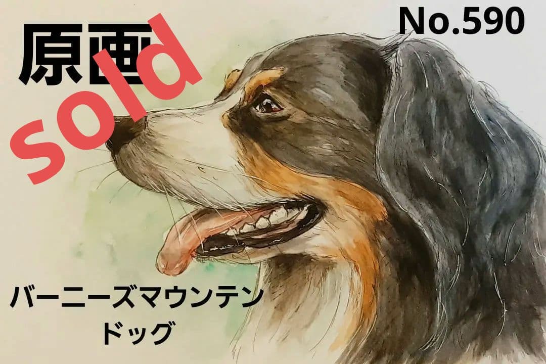 【バーニーズマウンテンドッグ】手描きイラスト 原画 《590》
