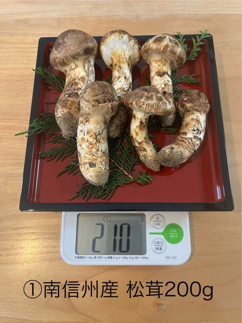 松茸200g（6本）長野県南信州産　国産松茸